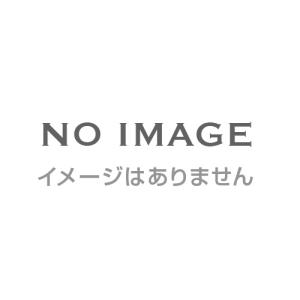 ブルーベリー ４本セット ポット苗【株式会社 天香園】｜tenkoen