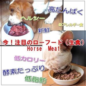 【国産】馬肉 すきみ 300g ペット生食用の詳細画像3