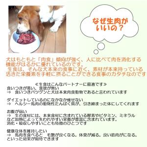【国産】馬肉ミンチ角切り 600g /ペットの詳細画像4