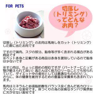 馬刺し専門店の馬肉 切落し 1kg ※ペット赤...の詳細画像4