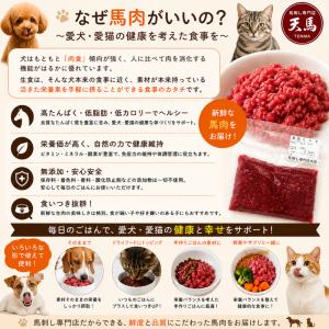 馬肉 切り落とし 1kg ペット用 【天馬】 ...の詳細画像5