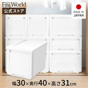 天馬 収納ケース 衣装ケース プロフィックス カバゾコ モノ 60