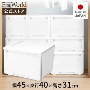 天馬 収納ケース 衣装ケース プロフィックス カバゾコ モノ 60深型