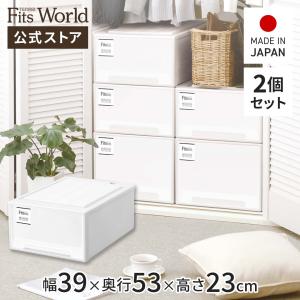 収納ケース 衣装ケース フィッツケース モノ クローゼット M-53 2個セット 天馬