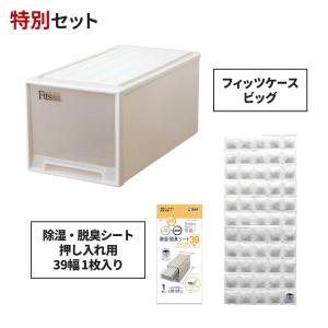 ◇6/1（土）0:00〜23:59 全品15％OFFクーポン配布中◇フィッツケース ビッグ×除湿・脱臭シート 押し入れ用39幅 1枚入り セット 天馬｜tenmafitsworld