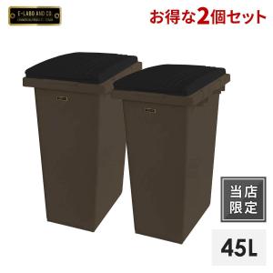 ゴミ箱 イーラボホーム つなげて分別用ペール45L ダークブラウン 2個セット 天馬の商品画像