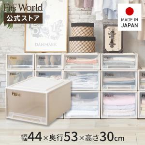 天馬 収納ケース 衣装ケース フィッツケース クローゼット L-30