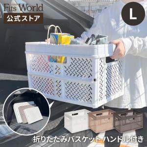 収納ケース 収納ボックス かご プロフィックス 折りたたみバスケットハンドル付き L 天馬｜tenmafitsworld