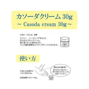 カソーダ Casoda クリーム30g 安心の...の詳細画像1