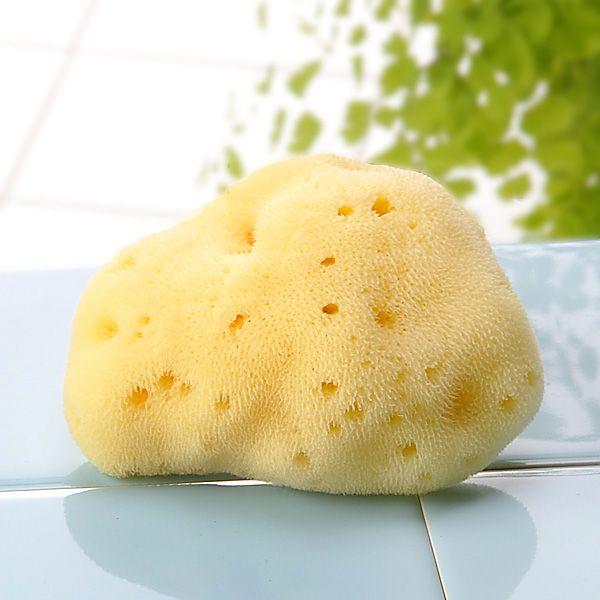 天然海綿ボディスポンジ・ソフトシルク種 （約11-12cm）  ＜Belta ベルタ／美＞