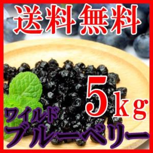 ワイルドブルーベリー 1kg×5 ブルーベリー 無添加 ポリフェノール ドライフルーツ 野生種 乾燥フルーツ 果物 フルーツ 美容 健康 業務用 大容量 送料無料｜tennenlife