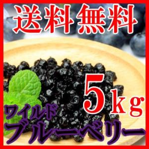 ワイルドブルーベリー 1kg×5 ブルーベリー 無添加 ポリフェノール ドライフルーツ 野生種 乾燥...