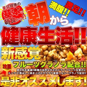 フルーツグラノーラ 豆乳おからクッキー1kg ...の詳細画像1