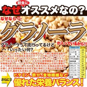 フルーツグラノーラ 豆乳おからクッキー1kg ...の詳細画像2