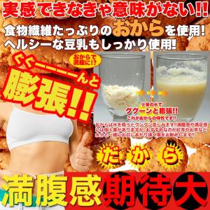 フルーツグラノーラ 豆乳おからクッキー1kg ...の詳細画像4