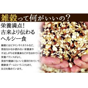豆乳おからクッキー 20雑穀 1kg×2 クッ...の詳細画像2