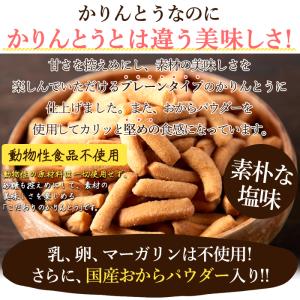堅揚げかりんとう 1kg×2 プレーン 塩味 ...の詳細画像1