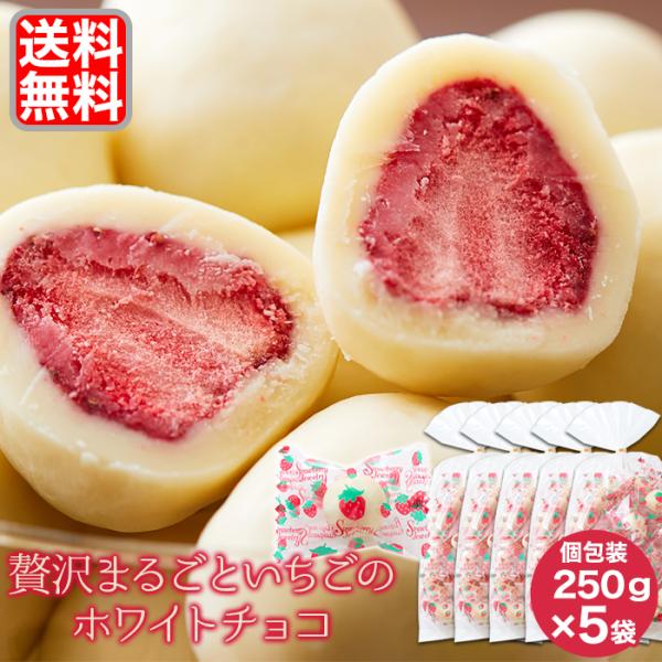 贅沢まるごといちご ホワイトチョコ 250g×5 個包装 チョコレート お菓子 イチゴ 苺 コーティ...