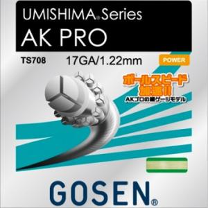 ゴーセン(GOSEN) テニスガット UMISHIMA AK PRO (ウミシマ AKプロ) 16(...