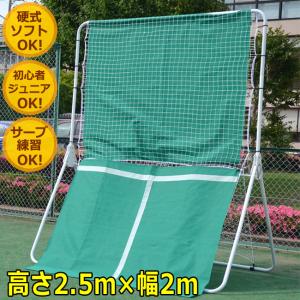 リバウンドネット デラックス (高さ250cm×幅200cm)(Z-23)　テニス 練習器具 壁打ち 硬式 テニス用品 キッズ ジュニア テニスグッズ グッズ 練習｜tennis