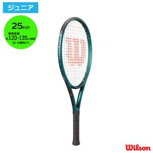 Wilson（ウイルソン） ウィルソン(Wilson)BLADE 26 V9 / WR151710S