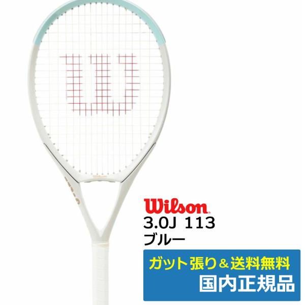 ウィルソン(Wilson)3.0J 113 ブルー / WR187311U / 国内正規品