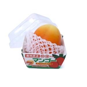 産地直送 もぎたて マンゴースクイーズ 1個 単...の商品画像