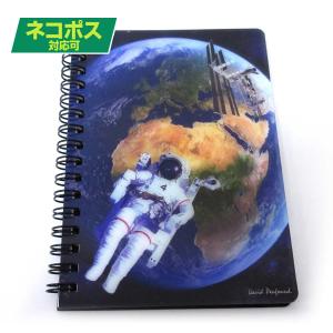 ノート 文房具 A6 メモ帳 ナマケモノ どうぶつ 3Dリングノート 301-946