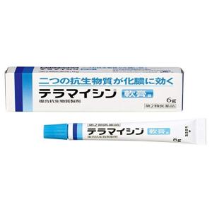 テラマイシン軟膏a ６ｇ【第２類医薬品】『クリックポスト限定』｜tennojikenbishopoka