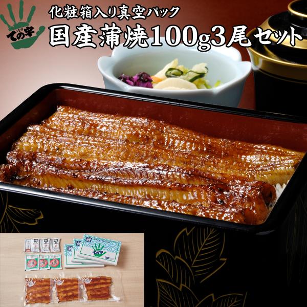 うなぎ 鰻 国産 プレゼント 蒲焼 100g×3セット ての字 化粧箱入り