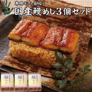うなぎ 鰻 国産 プレゼント 蒲焼 おこわ 鰻めし 100g×3個セット ての字