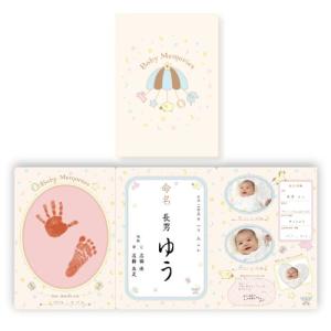 パイロット 手がた記録 おたんじょうきろく 命名紙セット 0ヵ月以上
