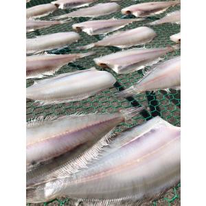 魚干物 新潟の魚 黒カレイの一夜干しの詳細画像1