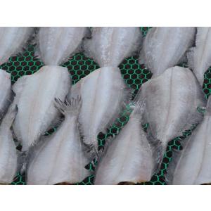 魚干物 新潟の魚 黒カレイの一夜干しの詳細画像2