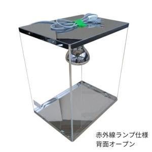 ホットショーケース