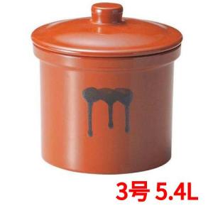 日本製 陶器製 漬物容器 常滑焼 久松窯 かめ 漬けませんか ガラス蓋付