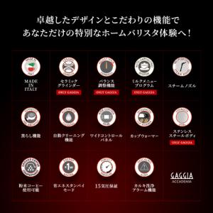 【5年保証】SUP052 GAGGIA アカデ...の詳細画像2
