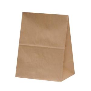 角底袋 ハイバッグ H500 未晒 無地 XZKT0396 /業務用//小物送料対象商品