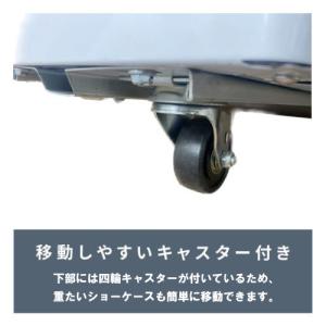 TBSC-117F 【テンポスオリジナル】冷凍...の詳細画像1