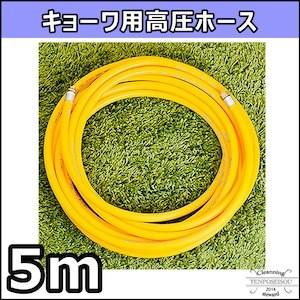 丸山製作所 高圧洗浄機用 高圧ホース 長さ10m 業務用 スプレーホース