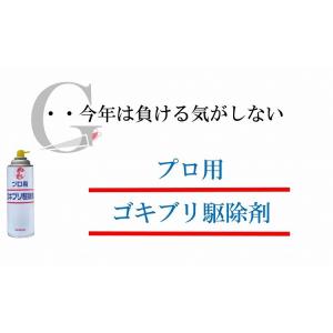 【ゴキブリ 駆除】プロ用ゴキブリ駆除剤420m...の詳細画像1