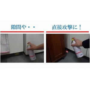 【ゴキブリ 駆除】プロ用ゴキブリ駆除剤420m...の詳細画像5