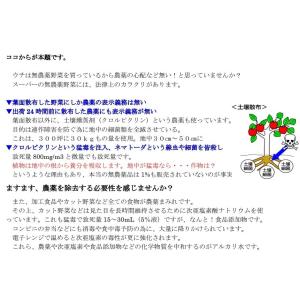 千樹BLUE(100ml)海洋ミネラルアルカリ...の詳細画像3