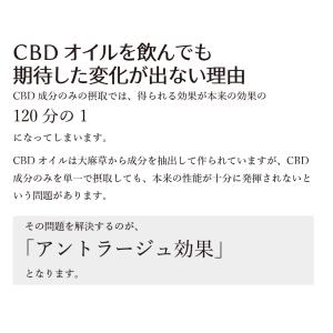 CBDオイル含有健康補助食品「天の愛(めぐみ)...の詳細画像4