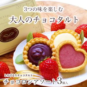 お歳暮 クリスマス ハロウィン 誕生日 プレゼント ギフト スイーツ 洋菓子 お菓子 お配り 個包装 小分け チョコロンアソート3個入