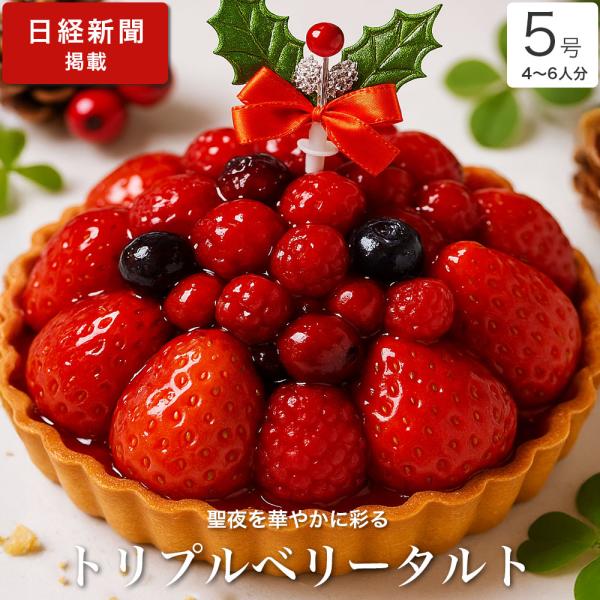 クリスマスケーキ 2025 予約 送料無料 クリスマス ケーキ ギフト プレゼント 大人 子供 / ...