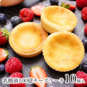 乳酸菌100億チーズケーキ10個入