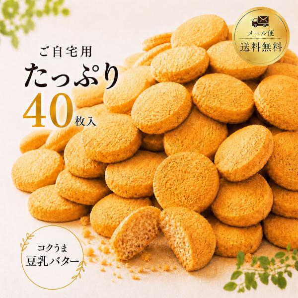 おからクッキー ダイエット 訳あり 個包装 小分け 持ち歩き ヘルシー 健康 置き換え おやつ 食品...