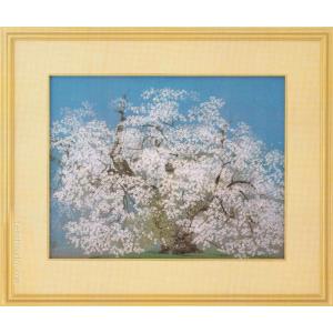 石割桜 油彩画・油絵 石割桜 | ｜正光画廊