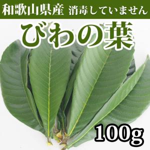 びわの葉 ビワ 枇杷 100g 消毒なし 生葉 和歌山県産